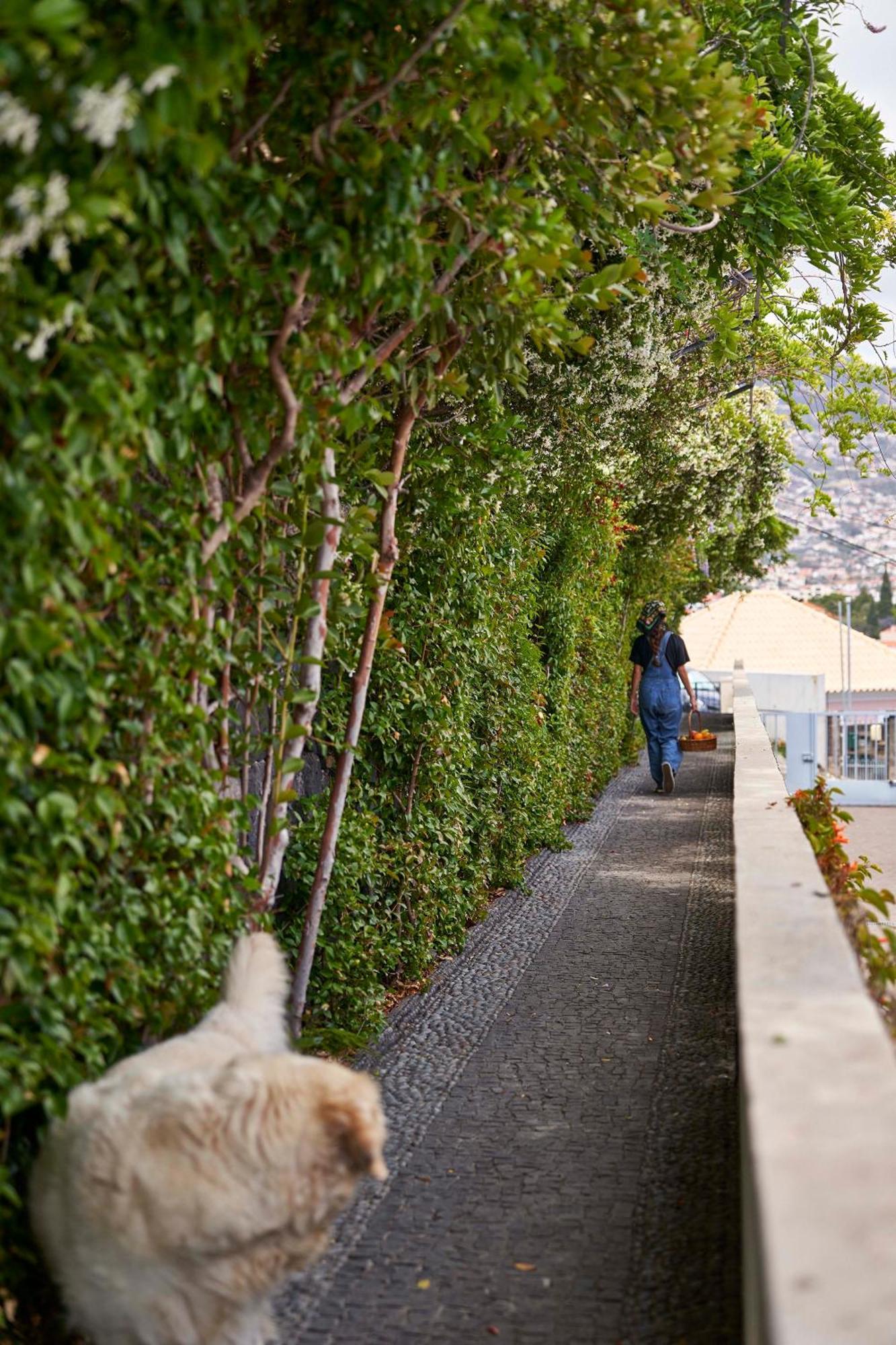 Bordal Houses Φουνκάλ Εξωτερικό φωτογραφία