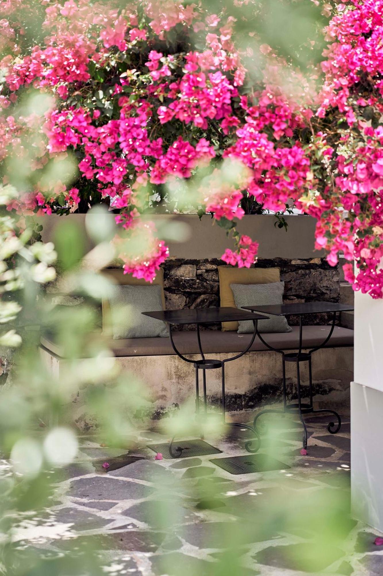 Bordal Houses Φουνκάλ Εξωτερικό φωτογραφία